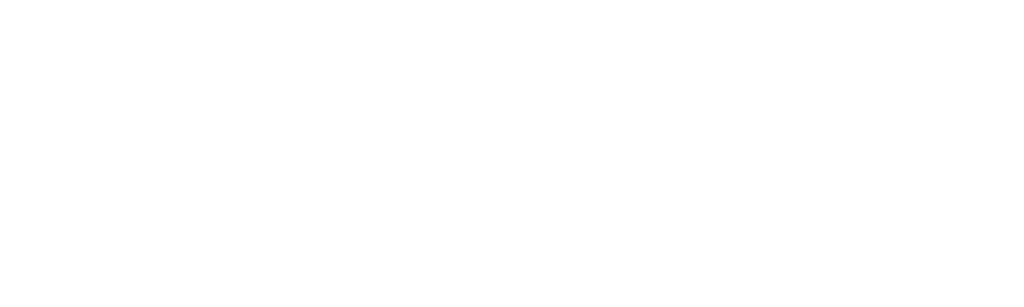 CoconutWeb Logo blanc